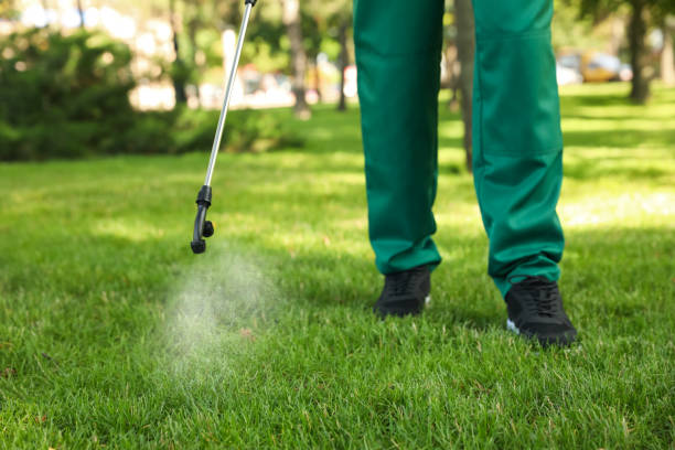 Best Flea Control Services  in , MD
