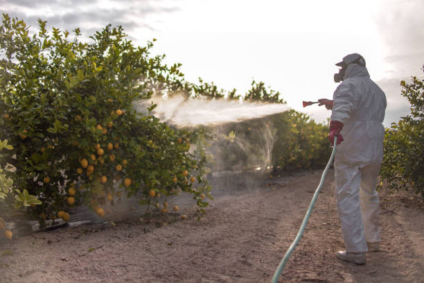 Best Pest Control Near Me  in , MD
